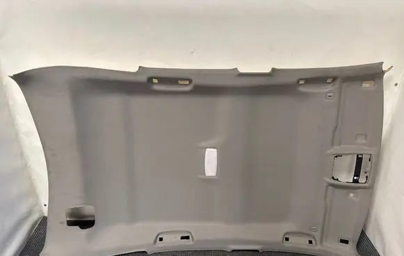 BMW 2 F45 Headlining 7359383
