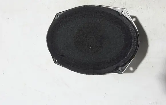 Chrysler Pacifica Front door speaker 05091019AB