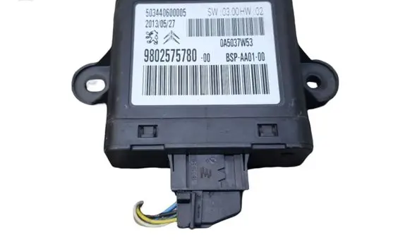 Peugeot iOn Other control units/modules 9802575780 503440600005