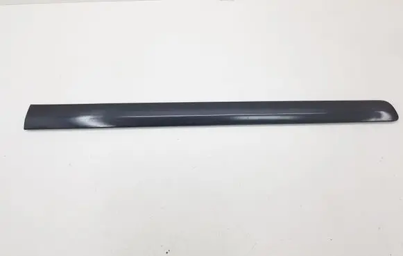 Citroen C8 Front door trim (molding) 1484087077