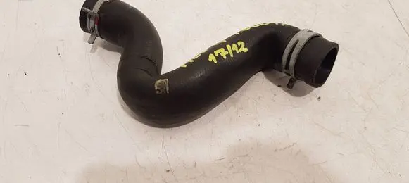 Renault Megane IV Coolant pipe/hose 215016299R