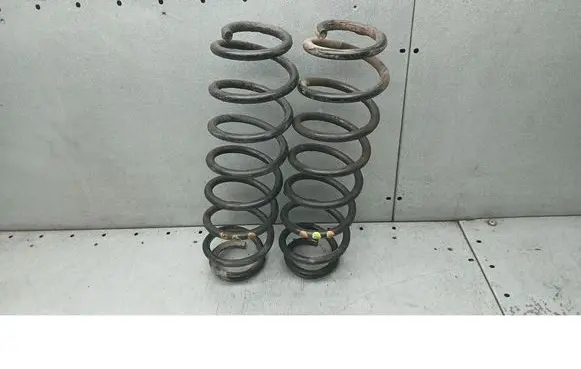 Rear coil spring