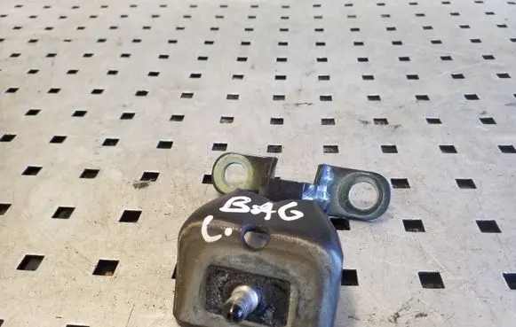 Tailgate/trunk/boot hinge