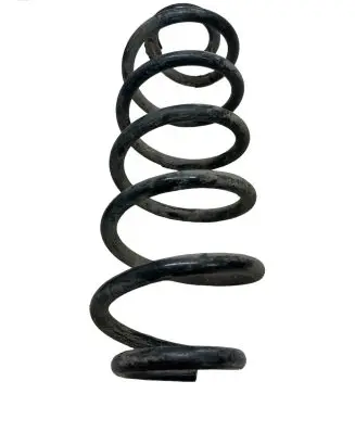 Volkswagen Golf V Rear coil spring