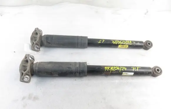 Opel Zafira C Rear shock absorber/damper 13351720