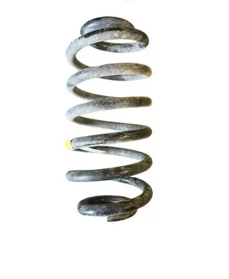 Opel Mokka Rear coil spring 95107103