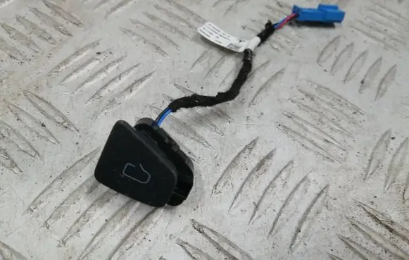 Tesla Model 3 Door central lock control unit/module 109495802D E0202589 30171595