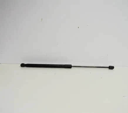 Opel Insignia A Tailgate/trunk strut/damper 0317860660N