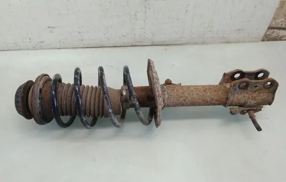 Front shock absorber with coil spring