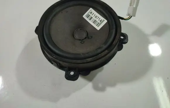 Chevrolet Captiva Front door speaker C100AU