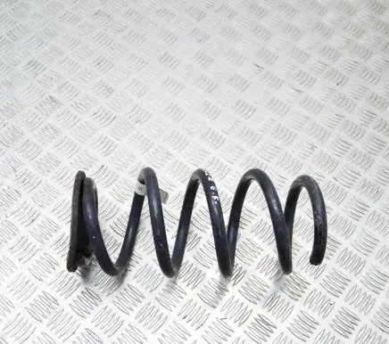 Tesla Model 3 Rear coil spring 104447291E