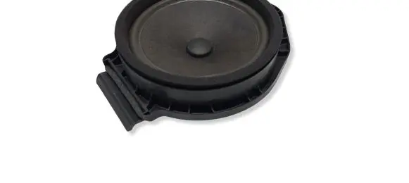 Opel Insignia A Front door speaker 545295771