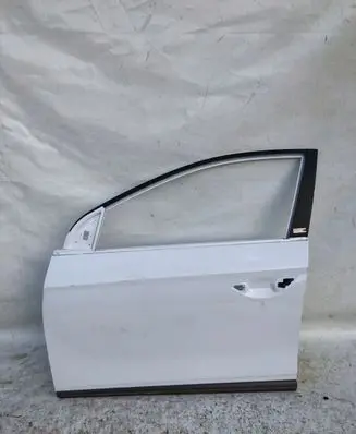 Hyundai Ioniq Front door