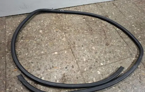 Lexus RX III Front door rubber seal 