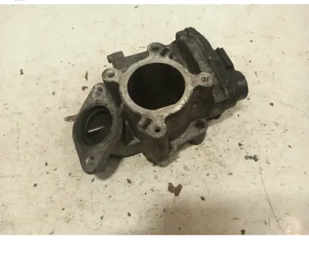 Renault Trafic II (X83) EGR valve a2c53179081