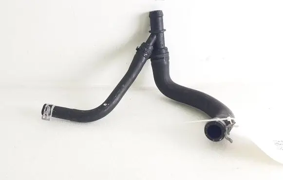 Ford Mustang Mach-E Engine coolant pipe/hose LJ9310C705BC 130010307AA