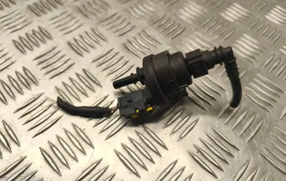 Renault Megane III Valve vacuum 2580119A