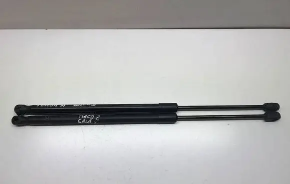Tailgate/trunk strut/damper