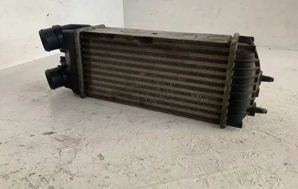 Citroen Xsara Picasso Intercooler radiator