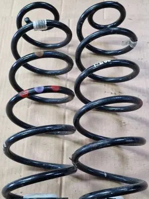 Peugeot 408 P54 Rear coil spring 9838444880