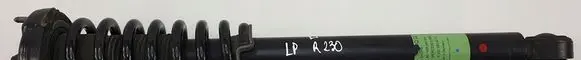 Mercedes-Benz SL R230 Front shock absorber with coil spring A2303209513