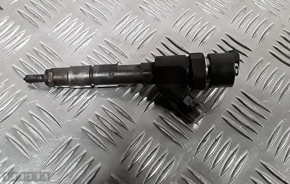 Renault Scenic RX Fuel injector 0445110021 7700111014