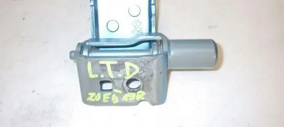 Renault Zoe Rear door lower hinge 112