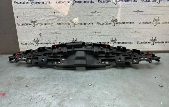 Opel Insignia A Radiator trim 22864058