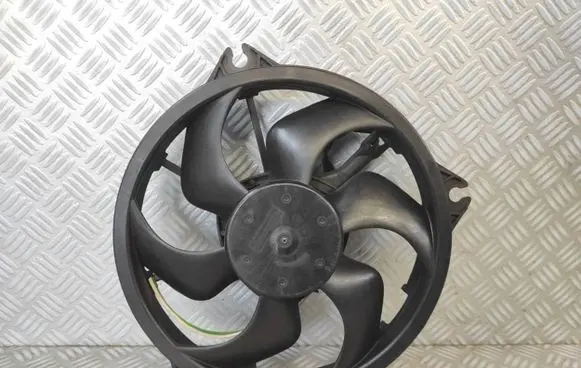 Peugeot Expert Electric radiator cooling fan 1401312180 0968672