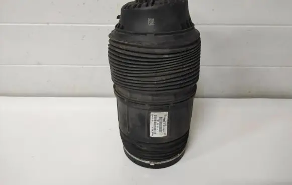 Porsche Panamera (971) Rear air suspension bag/shock absorber 971616025G 200910191407