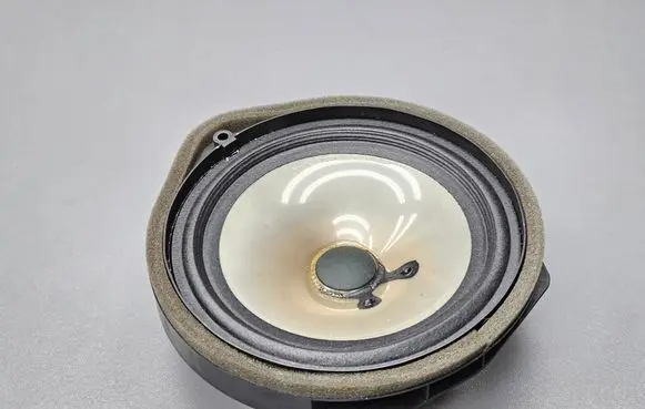 Honda Civic IX Front door speaker