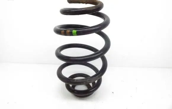 Volkswagen PASSAT B5.5 Rear coil spring