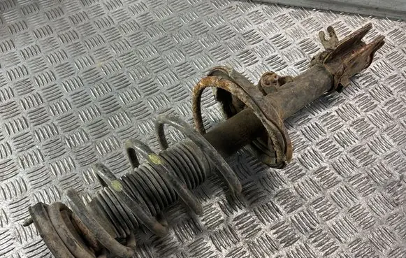 Hyundai Tucson JM Rear shock absorber with coil spring 