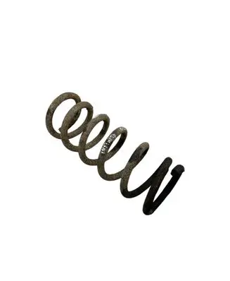 Rear coil spring