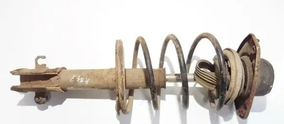 Fiat Bravo - Brava Front shock absorber/damper
