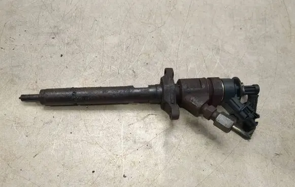 Citroen C3 Fuel injector 0445110311