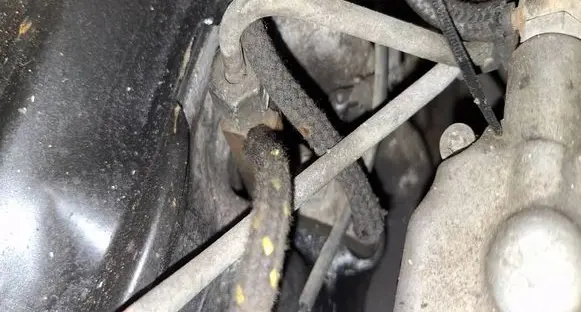 Volkswagen PASSAT B5 Fuel injector 