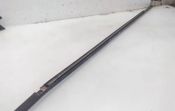 Renault Scenic II - Grand scenic II Rear door glass trim molding