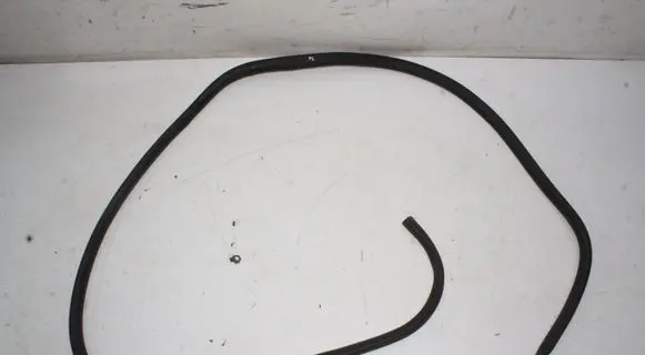 Ford Mustang Mach-E Rubber seal front coupe door LJ8BR253A10AD