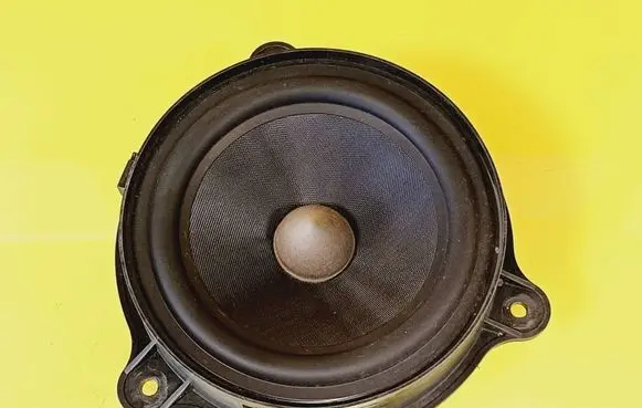 Renault Laguna III Rear door speaker 281440003R