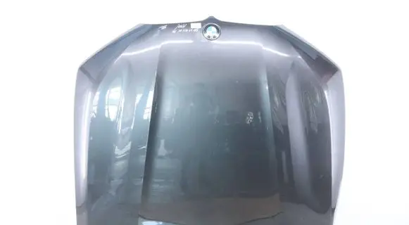 BMW X7 G07 Engine bonnet/hood 7933467 41007933467