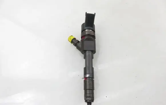 Suzuki Grand Vitara II Fuel injector 0445110230 8200389369
