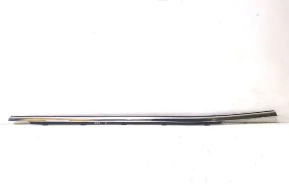 Hyundai Santa Fe Rear door trim (molding)
