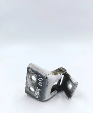 Renault Kangoo II Front door lower hinge 115113502