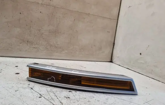 Volkswagen PASSAT B6 Front indicator light 3C0953042C