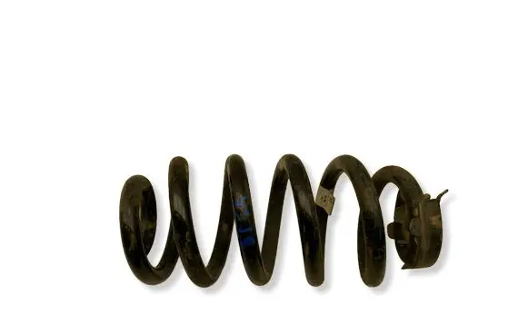 Volkswagen ID.4 Rear coil spring 1EA511103H