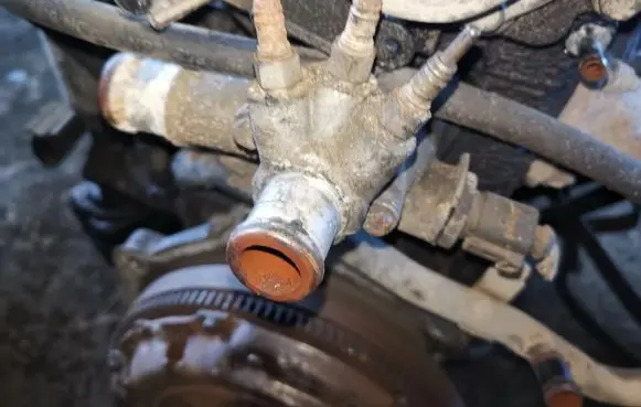 Seat Ibiza II (6k) Engine coolant pipe/hose