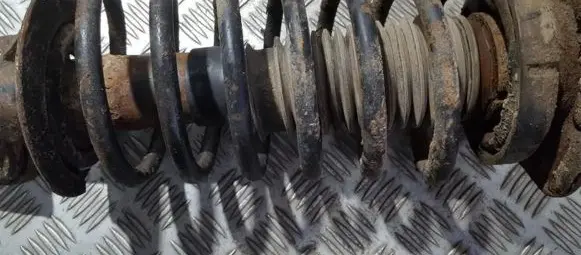 Front coil spring