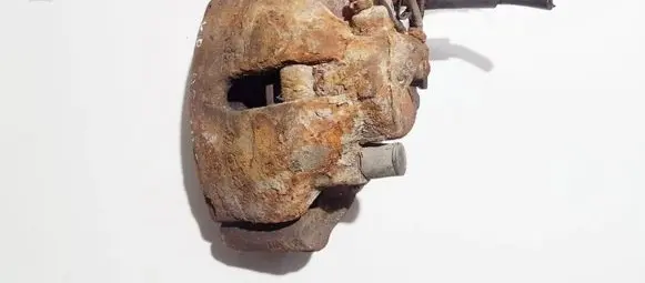 Volkswagen PASSAT B5.5 Front brake caliper