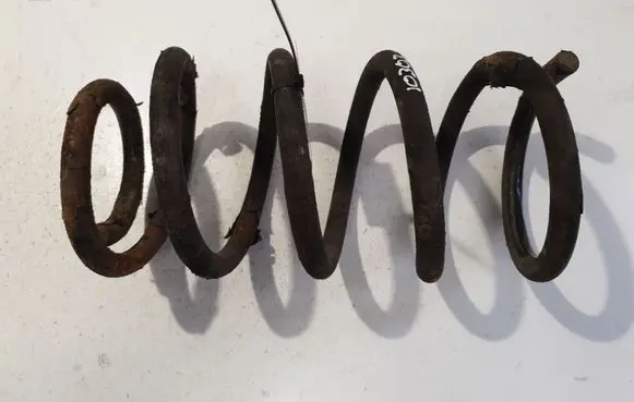 Rear coil spring